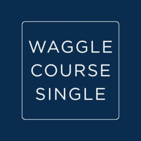 Waggle Course Game Ticket item