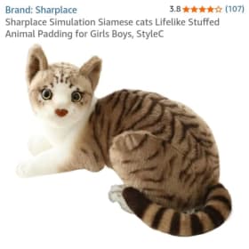 Soft toy cat item