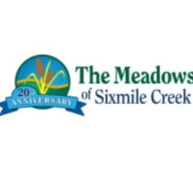 18 Holes at Meadows of Sixmile Creek item