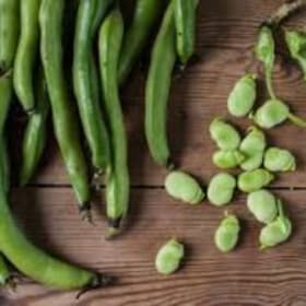 Broad Bean item