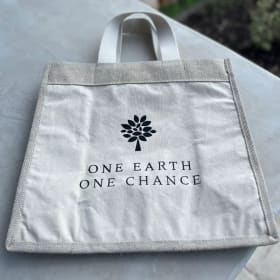 Tote Bag item