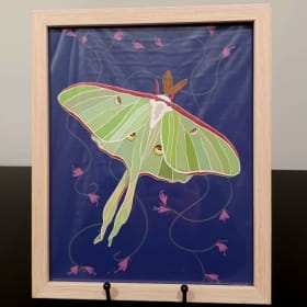 Katie Kummerer: Luna item