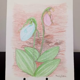 Melody G: Untitled item