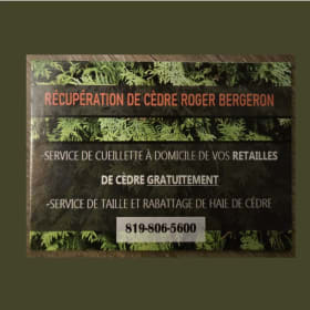 Lot #18 Certificat cadeau pour taillage de cèdres item