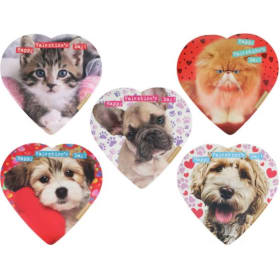 Box of Chocolates item