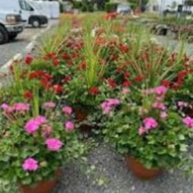 16” Combo Sun/Shade Planters item