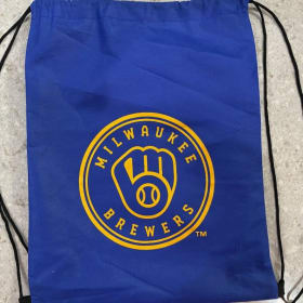 Trevor Megill signed game jersey item