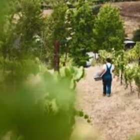 North American Press Wine item