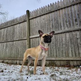 CGC -2/21/25 (11:00 AM) item