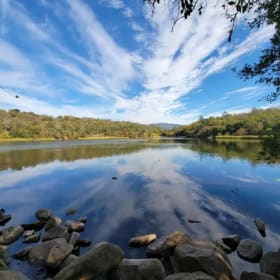 Ecology Along the Trail item
