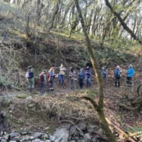 Ecology Along the Trail item