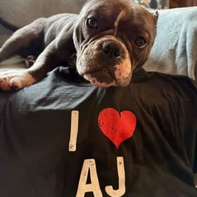 Backstreet Boys package item