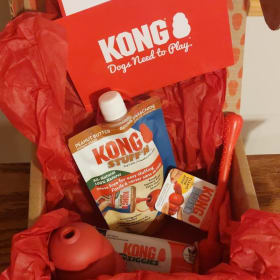 KONG gift basket item