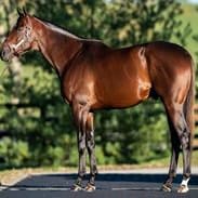 ANGEL OF EMPIRE item