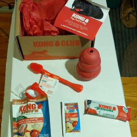 KONG gift basket item