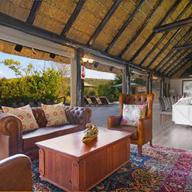 South Africa Safari Experience item
