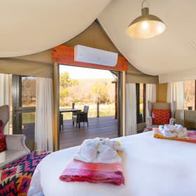 South Africa Safari Experience item