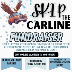 Skip the Line - Parking Spot #1 item