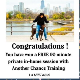 Another Chance Training 90 Min IN Home Session item