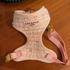 Pink harness, collar and lead set, size XXS item