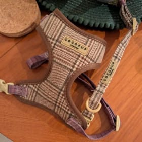 Tweed harness, collar and lead, size XXS. item