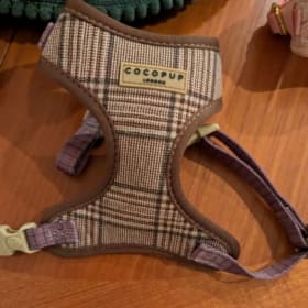 Tweed harness, collar and lead, size XXS. item