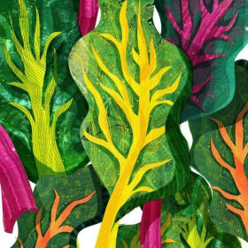 DONATE: Full Share (Weekly) item