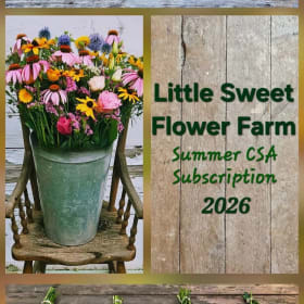 4 Week Flower CSA Little Sweet Flower Farm item