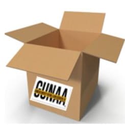 VIRTUAL - GIFTS & SHIPPING OPTION item