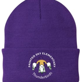 Photo of Beanie Painted Sky Logo