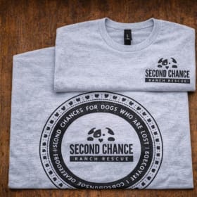 SCRR Grey T-Shirt-XXL item
