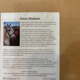 Diana Madaras framed Art Work item