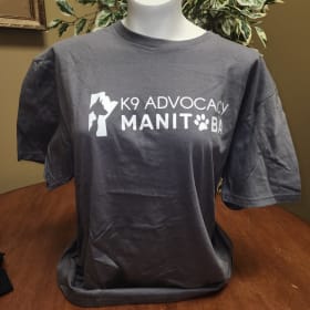 Large T-Shirt Grey item