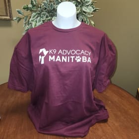 2X-Large T-Shirt Maroon item