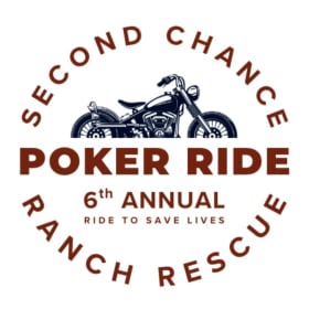 Add my logo to the tee shirt item