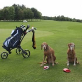 Premier Sponsorship item