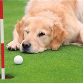 Hole in One Sponsorship item