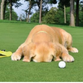 Challenge Hole Sponsor item