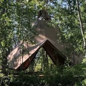 Bodhi Farms Wellness and Dinner Package: $700 value item