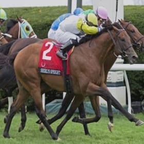 SHIRL'S SPEIGHT item