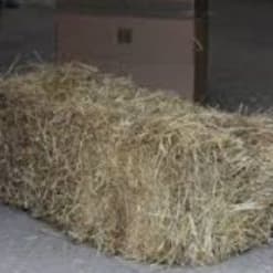 10 x Small Bales of Hay item