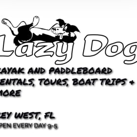 Lazy Dog 4 kayak or paddle board rentals/4 stickers item
