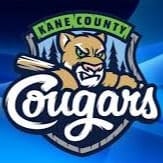 Hockey & Baseball Fan Pack item