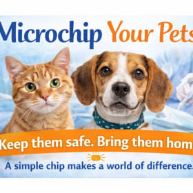 Microchip item
