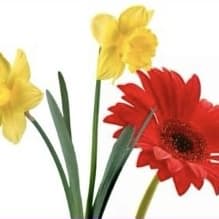 Mini Bouquet item
