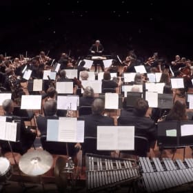 🎫 Backstage Pass: Experience the Orchestra from Within! item