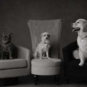 Studio Portrait Session + $600 Image Credit item