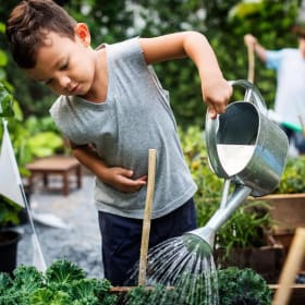 Junior Gardeners [9am-11am; Mon 7/6 thru Fri 7/10] item