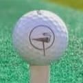 Tsawwassen Springs Golf Club - golf for 4 plus power cart item
