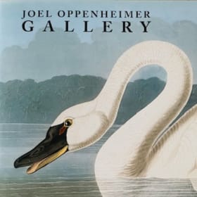 1. Audubon Red Throated Diver - 1st Ed. 1840-1844 item